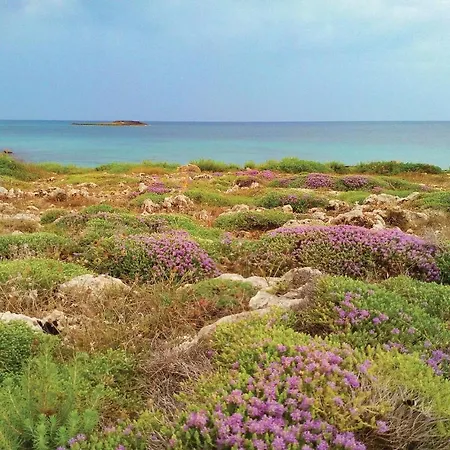 Casa vacanze Aurora